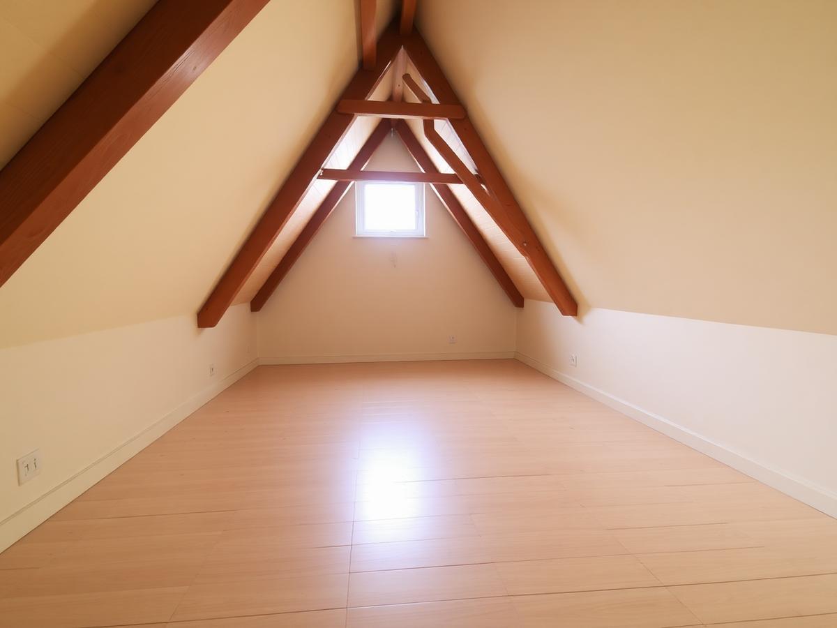 Loft Clearance After